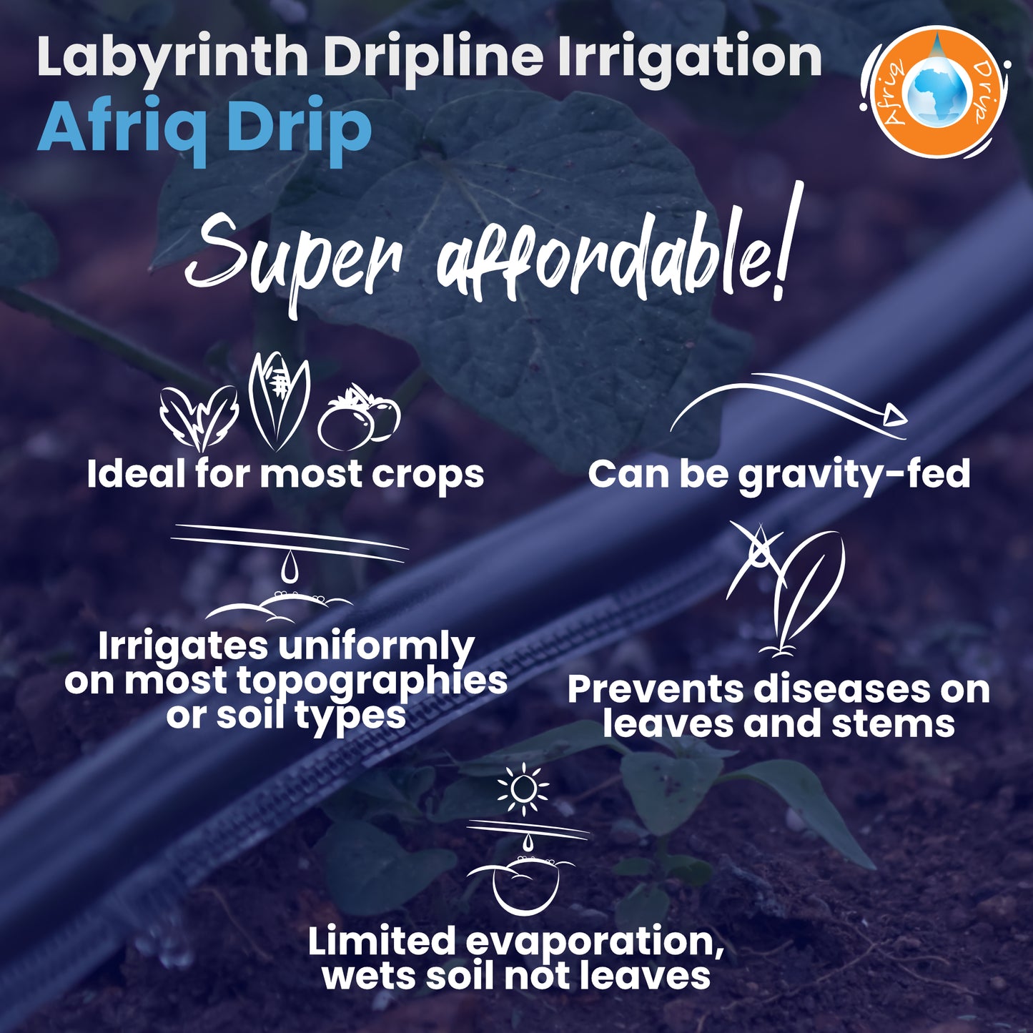 Afriq Drip 16mm OD Non-PC Labyrinth Type Dripline Irrigation 3 l/h