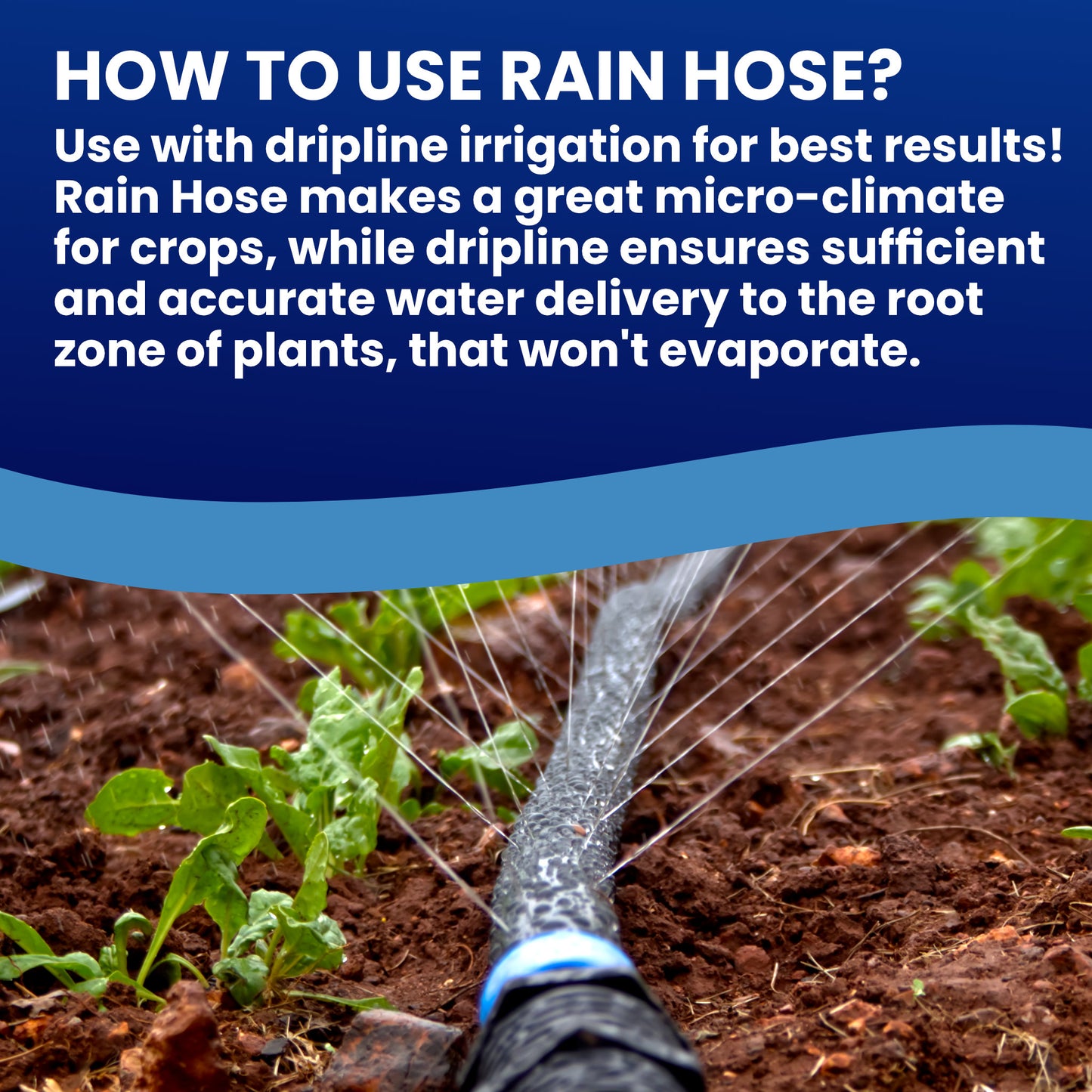 Afriq Water Rain Hose Irrigation Rolls