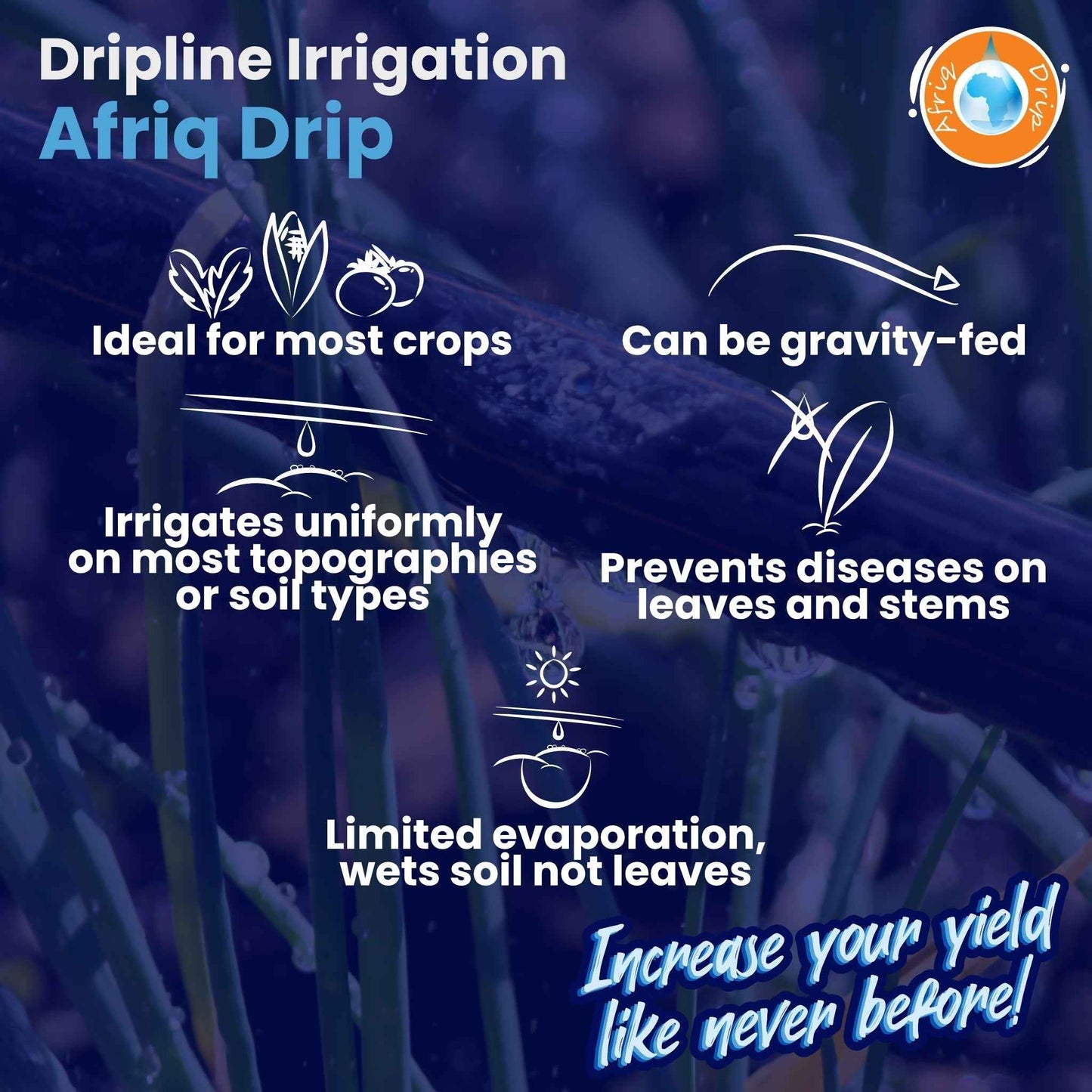 Afriq Drip 16mm OD Non-PC Dripline Irrigation 1.3 l/h