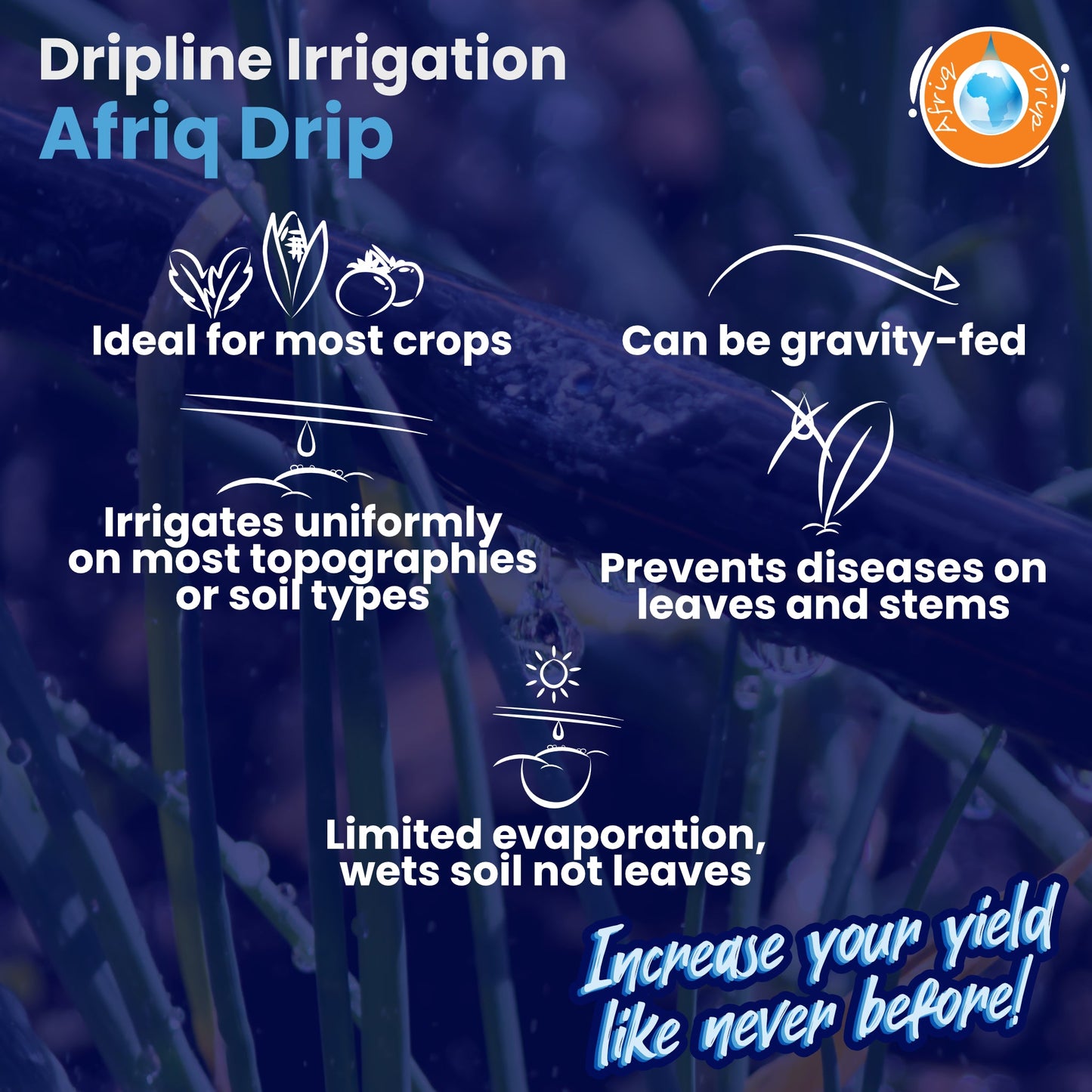 Irrigation OnlineDripline IrrigationADL202002020000.20mm20cm