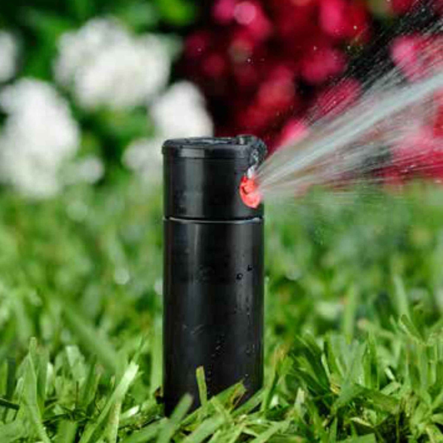 K-Rain RPS75 Rotor