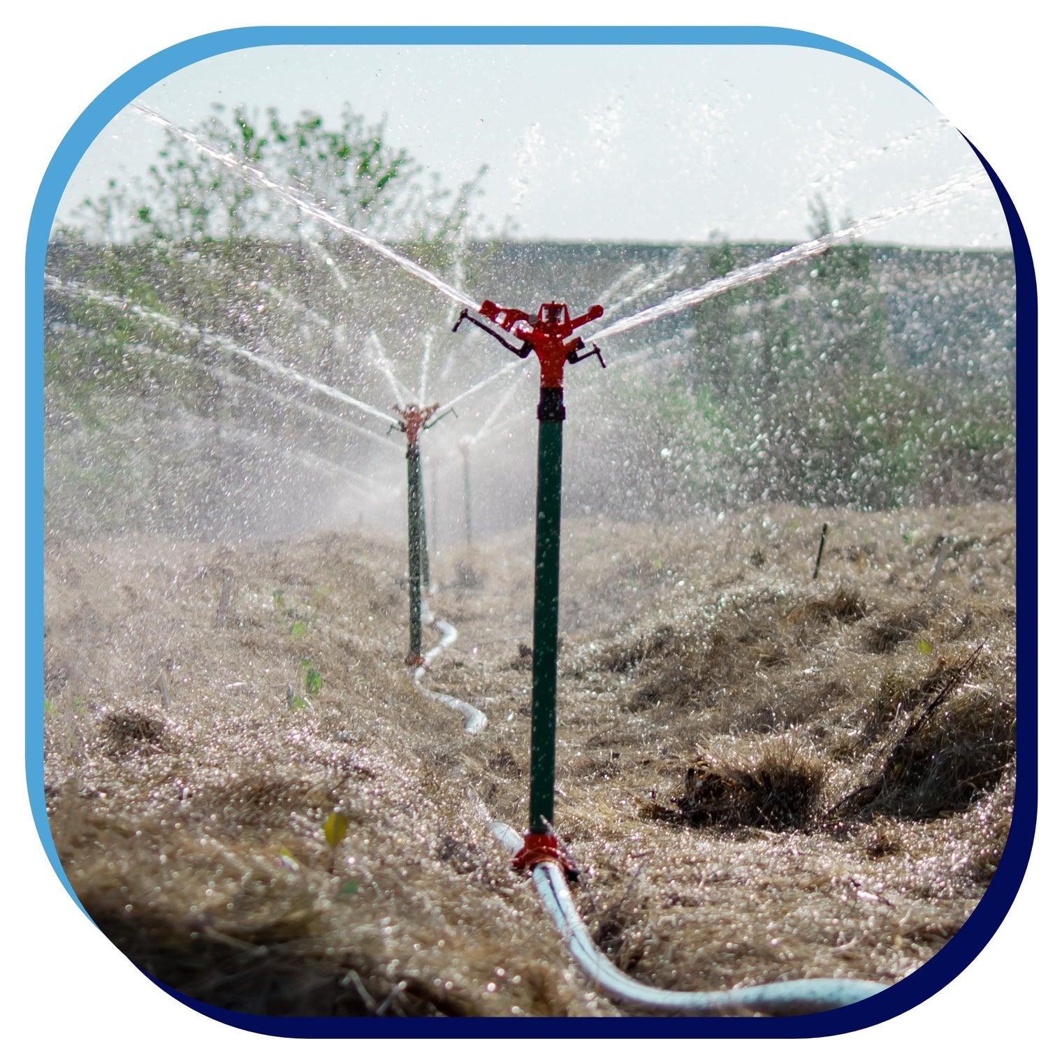 Sprinkler Irrigation - Irrigation Online